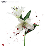 Nowy album THE CULT - Hidden City na winylu i CD.