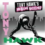 Punkowy soundtrack do skate'owej gry...