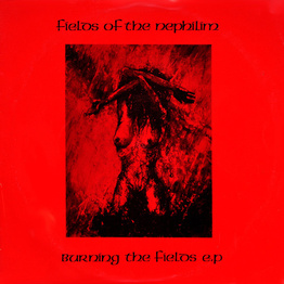 Burning The Fields (2 CD)