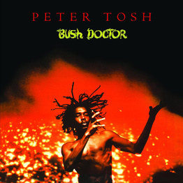 Bush Doctor (LP, czarny winyl, 180g)