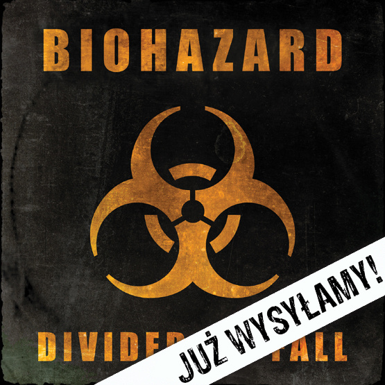 Divided We Fall (LP, czarny winyl)