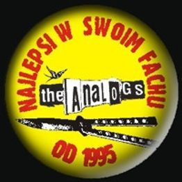 001 - Analogs (żółty)