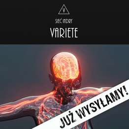 Sieć Indry (LP, czarny winyl)