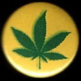 033 - Ganja (żółta)