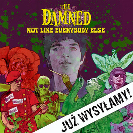 Not Like everybody Else 