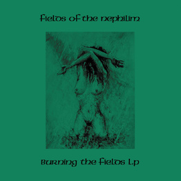 Burning The Fields (2 LP, zielony winyl)